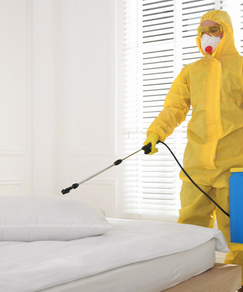 Professional Pest Control Team in Devon Park